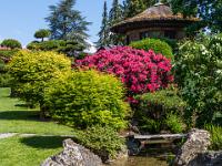 Blühender Japanische Garten mit Wasserlauf